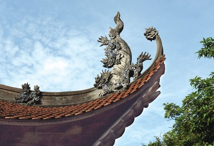 dao-dinh-1.jpg
