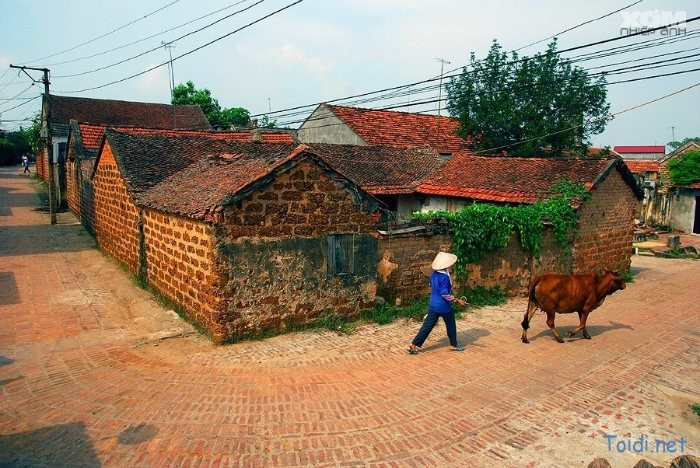 image-ghe-lang-co-duong-lam-nhung-ngay-cuoi-thu-164646299140444-1-1.jpg