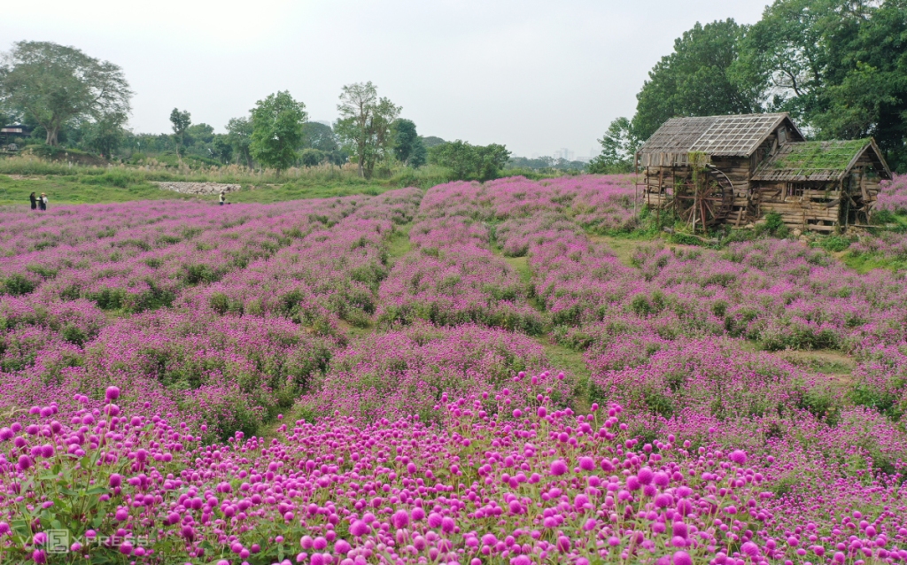 jh-jpg-1668402370-1.jpg
