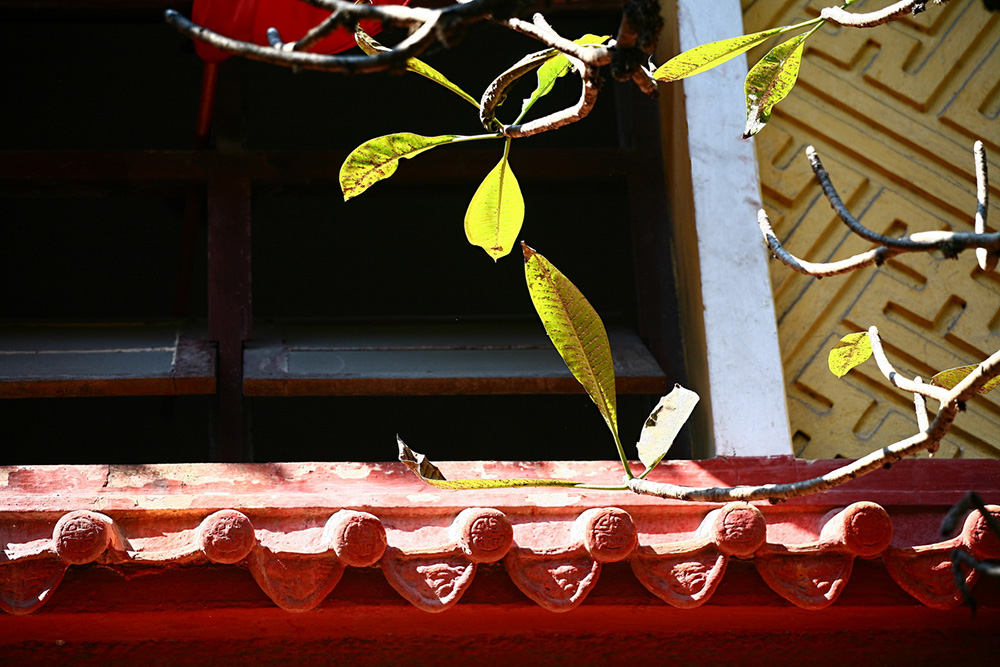 20a09027-13-1.jpg
