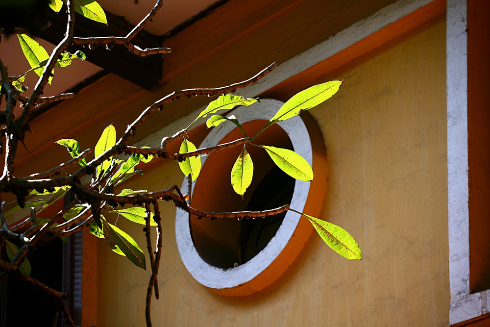 20a09027-14-1.jpg